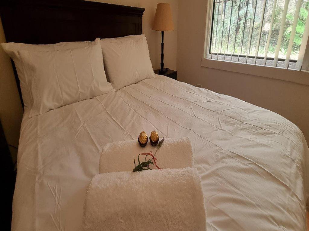 Cussonia Country Home Tierpoort Экстерьер фото